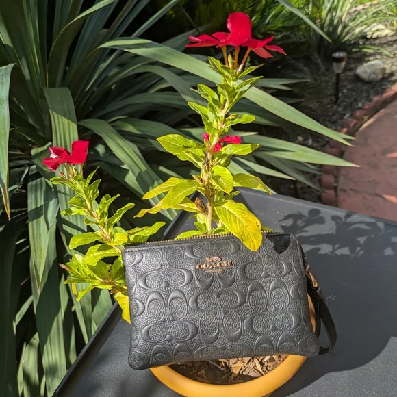 EUC Coach Embossed Black Wristlet - Picture 2 of 5